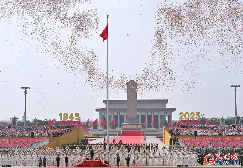 A dangerous signal: Japan edges toward a legal red line