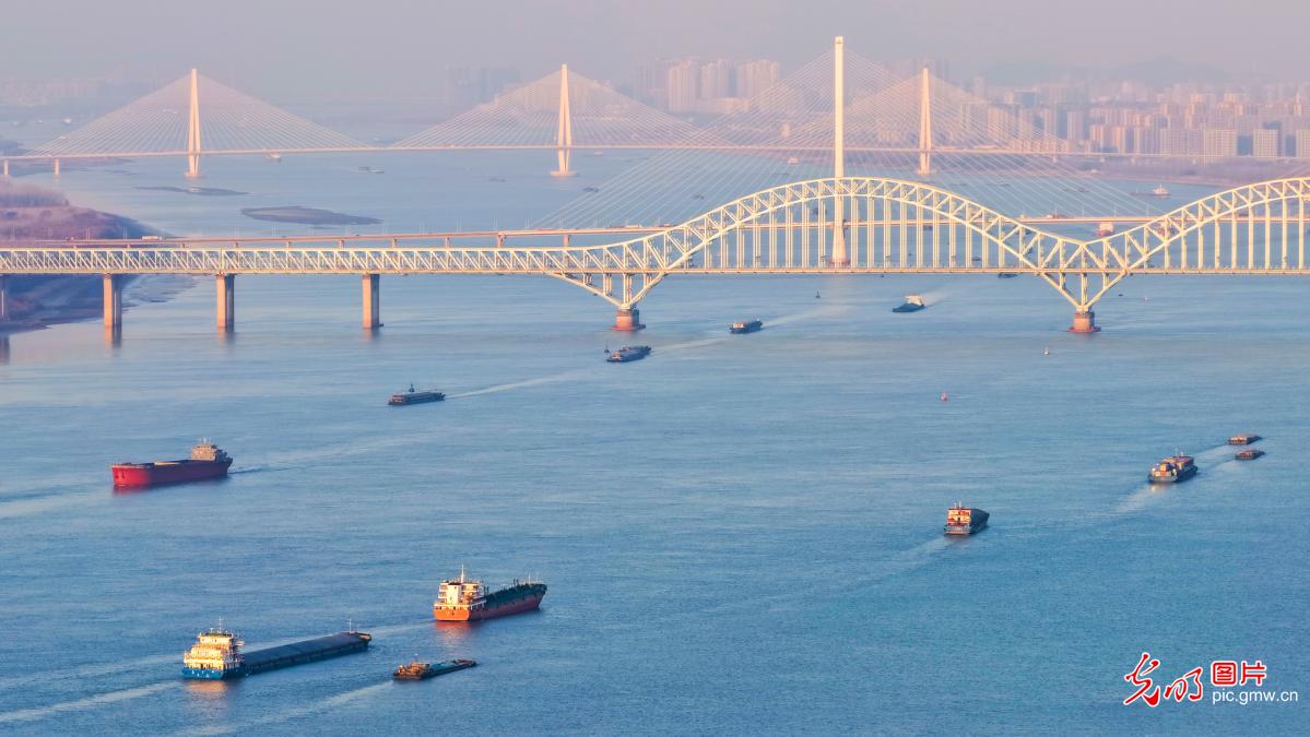 Busy shipping on Yangtze River kicks off in Nanjing
