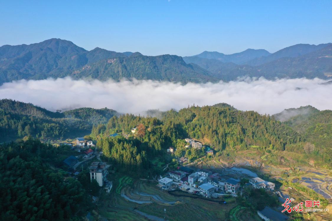 Morning mist drapes picturesque ecological countryside in S China's Guangxi
