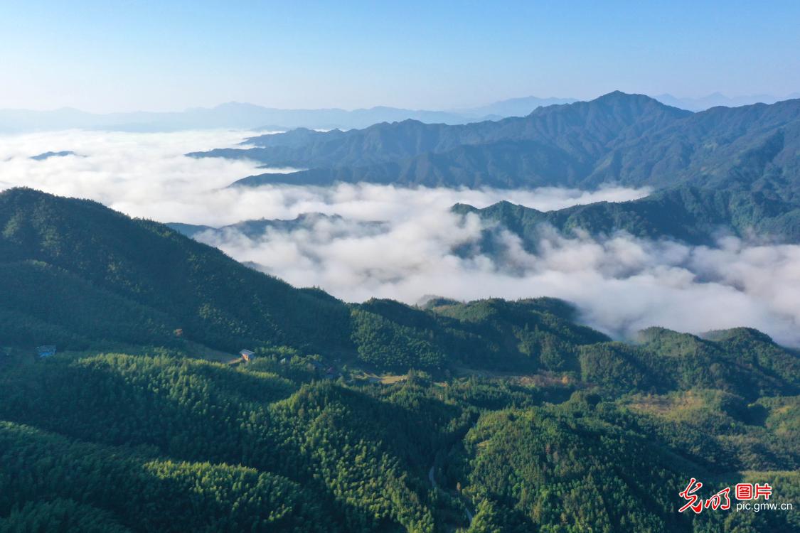 Morning mist drapes picturesque ecological countryside in S China's Guangxi