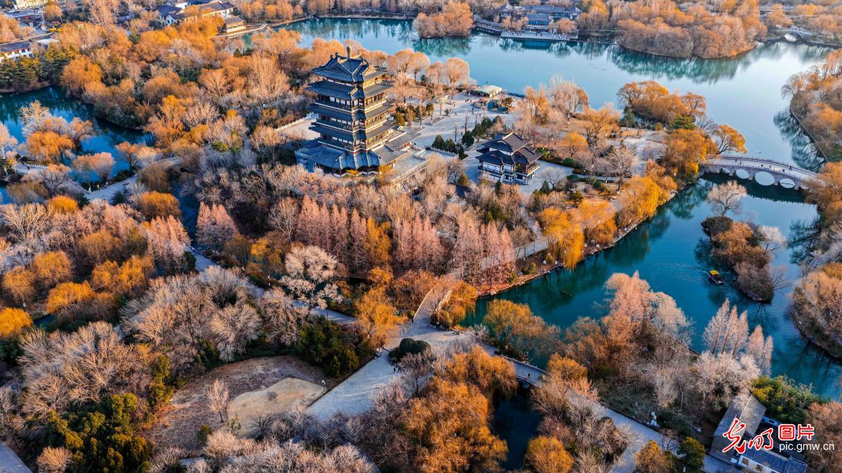 Winter morning splendor at Daming Lake in East China