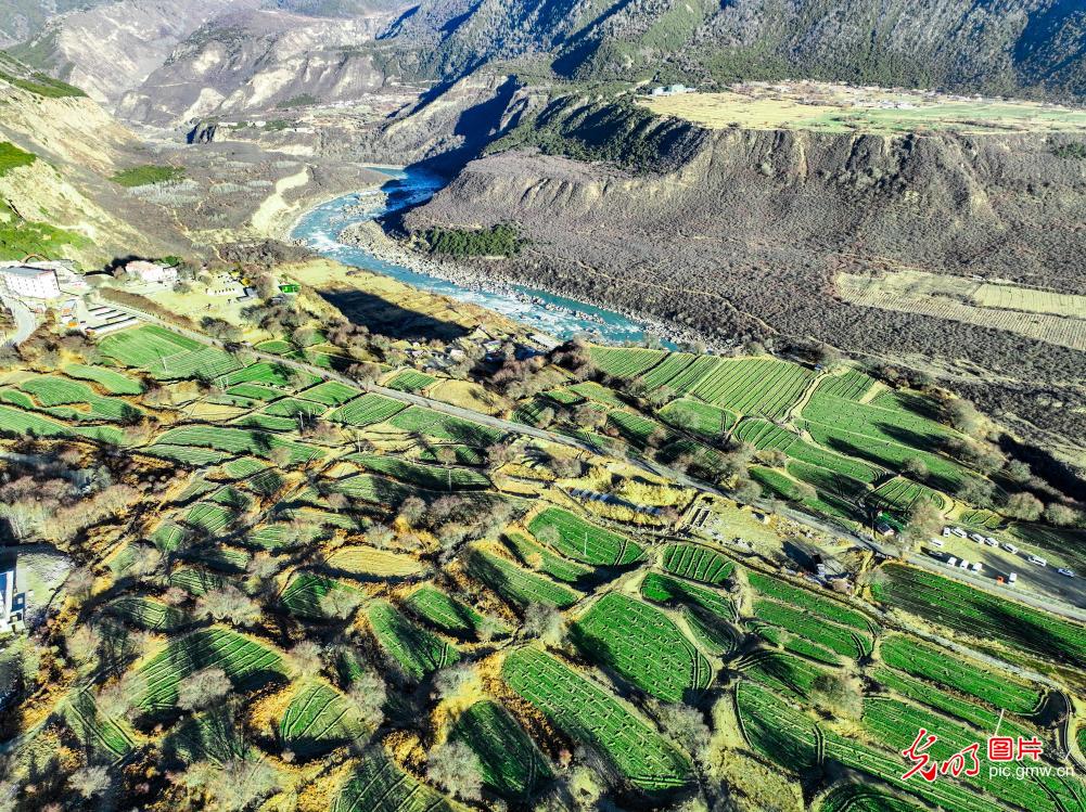 A majestic winter tapestry of the Yarlung Zangbo Grand Canyon