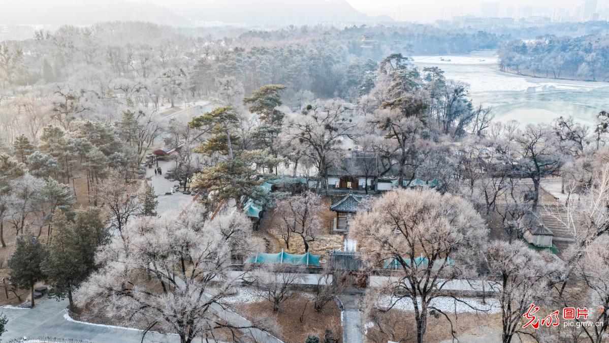 Sparkling rime coats trees at Chengde Mountain Resort in N China's Hebei