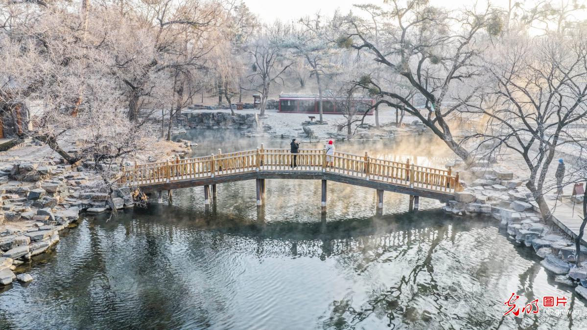 Sparkling rime coats trees at Chengde Mountain Resort in N China's Hebei