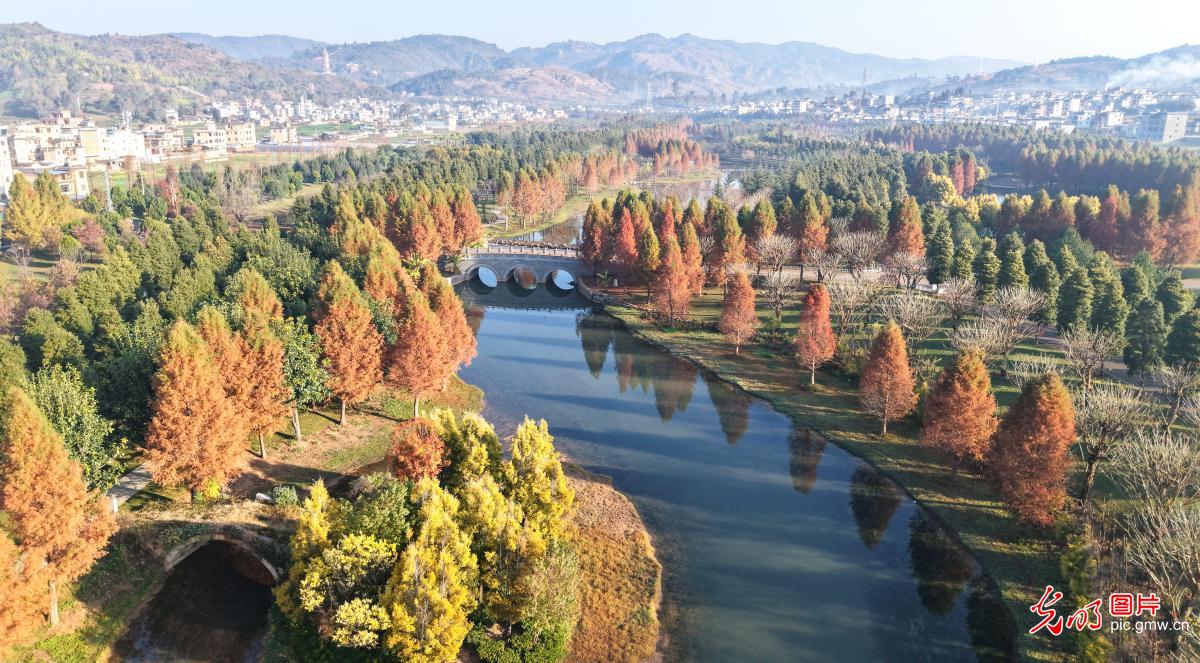 Vibrant ecological beauty in SW China's Yunnan