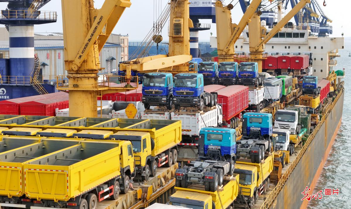 China's auto exports gather pace at Yantai Port