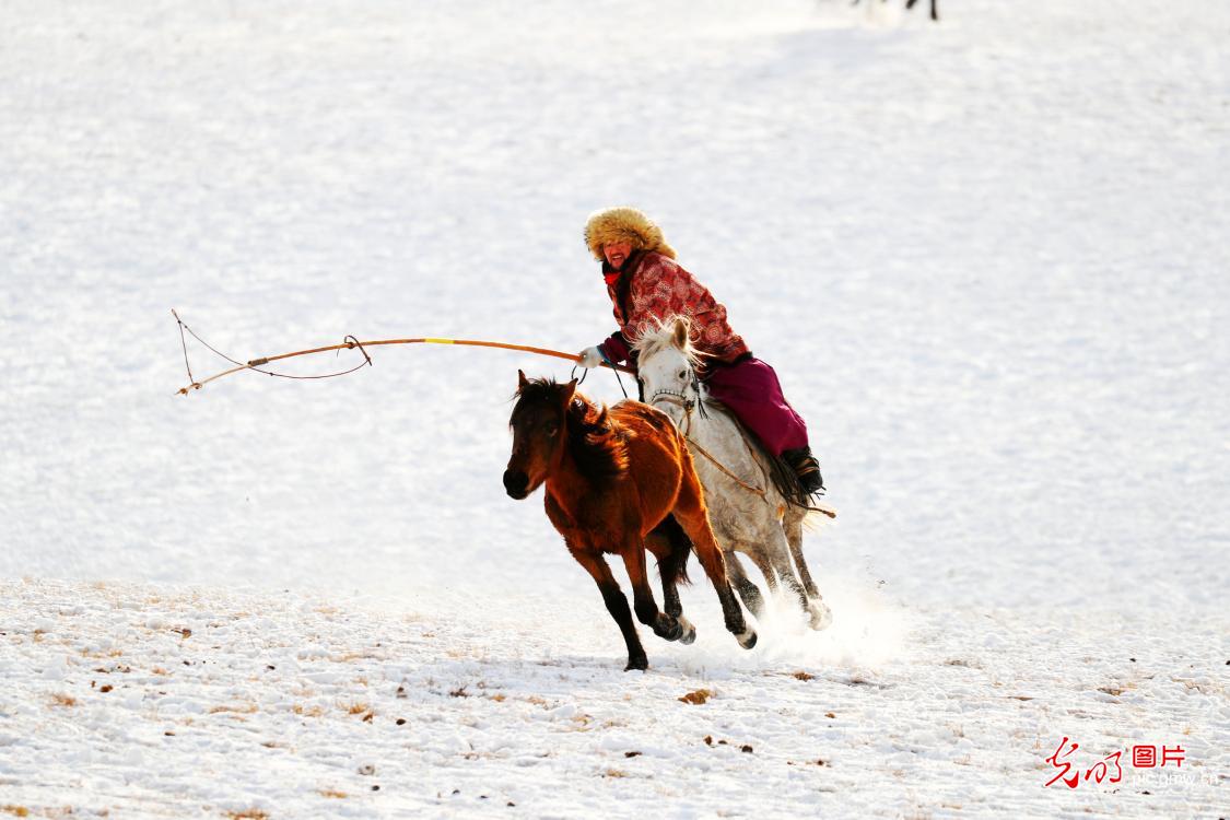 Lassoing heritage on snowy steppe