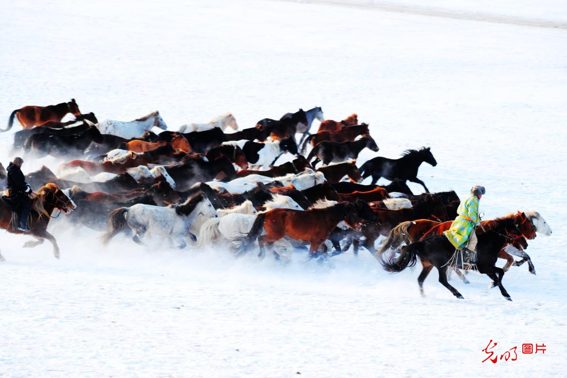 Lassoing heritage on snowy steppe