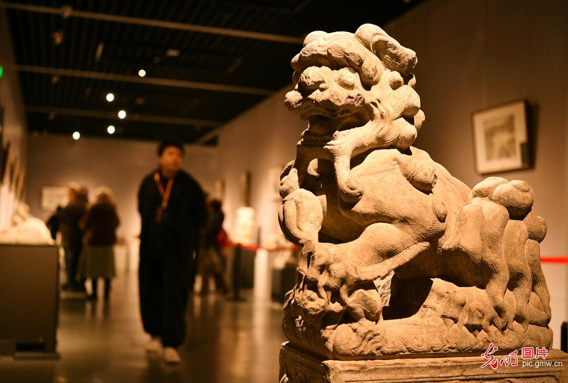 Stone lions bridge millennium-long dialogue in N China's Hebei