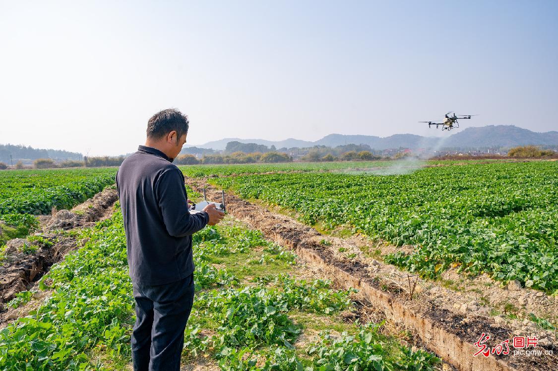 Technology empowers winter field management in E China's Jiangxi Technology empowers winter field management in E China's Jiangxi