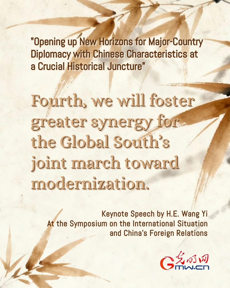 Posters: Major-country diplomacy with Chinese characteristics should accomplish more in 2026