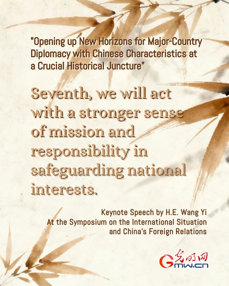 Posters: Major-country diplomacy with Chinese characteristics should accomplish more in 2026