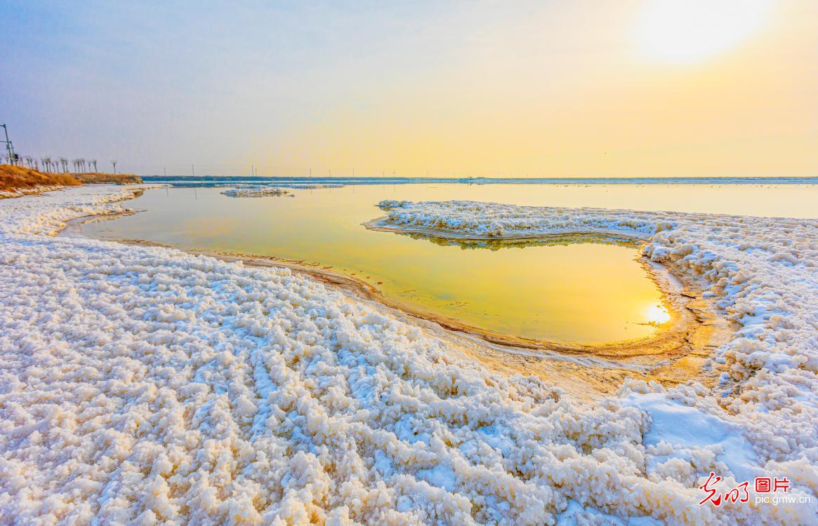 Salt flowers bloom at millenium-old salt lake in N China's Shanxi