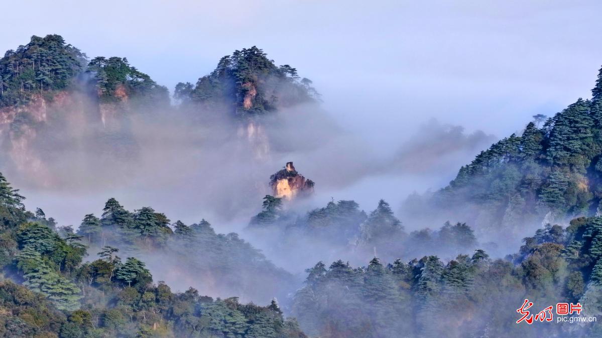 Sea of clouds and rime adorn Mangshan in C China's Hunan