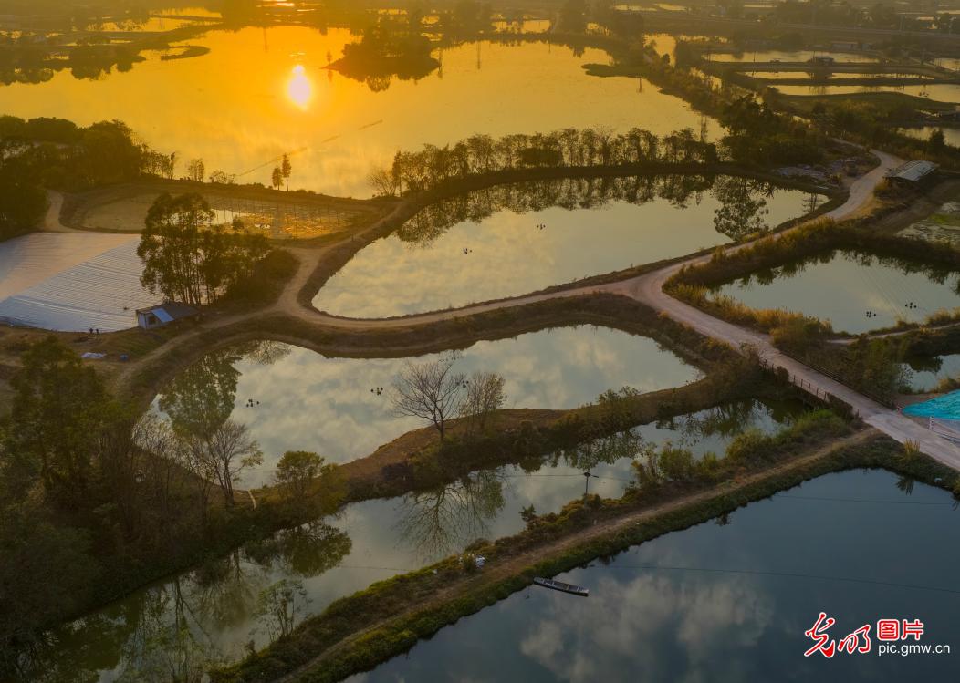 Sunset paints Gulao Water Town in south China's Guangdong Sunset paints Gulao Water Town in south China's Guangdong