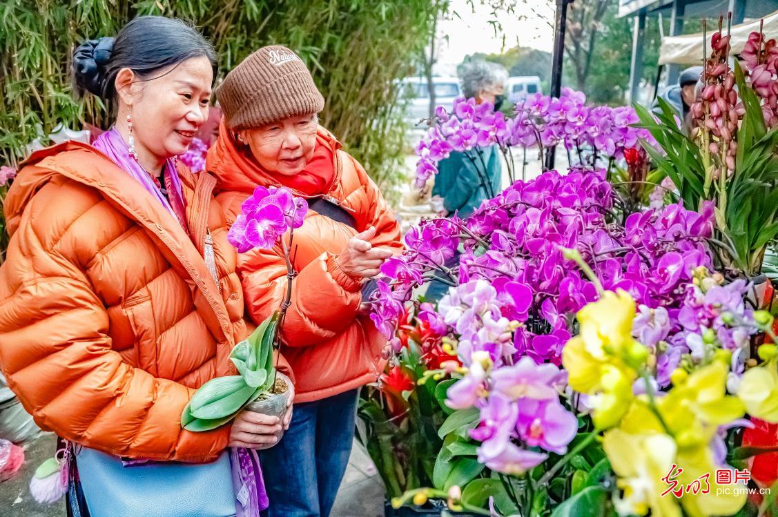 Festive shopping buzz builds nationwide as Spring Festival approaches
