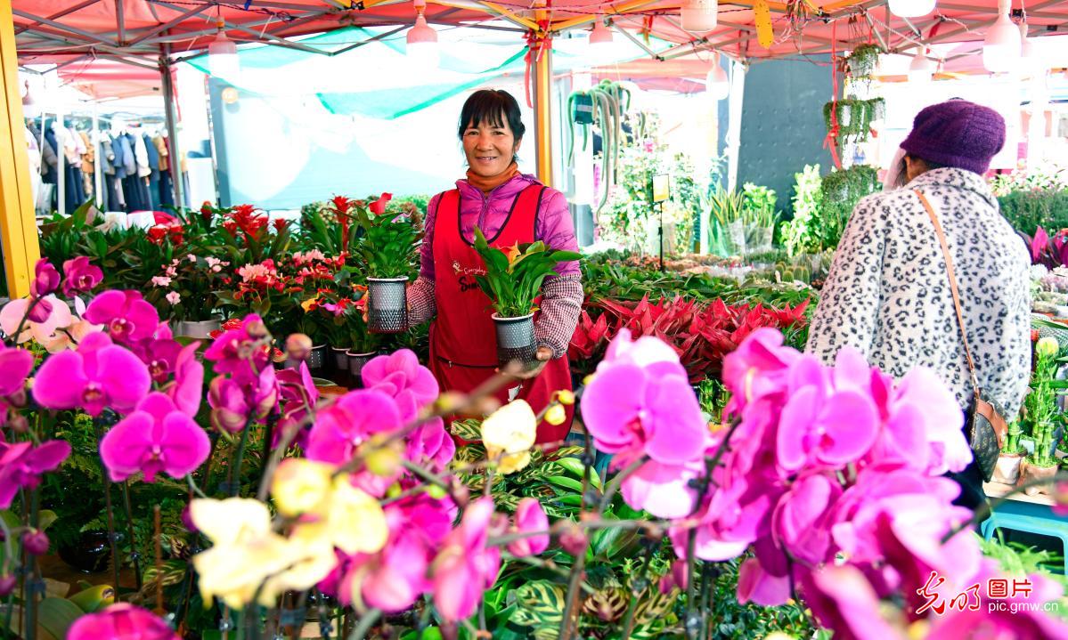 Festive shopping buzz builds nationwide as Spring Festival approaches