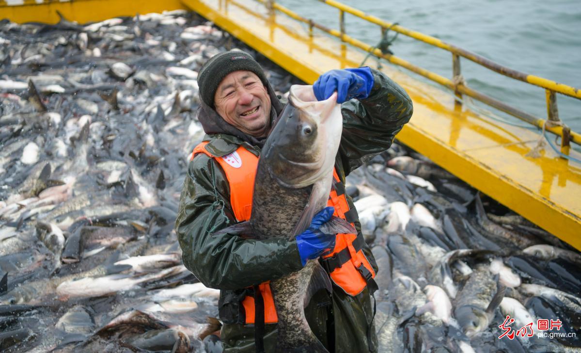 Winter fishing season opens in Luoyang City