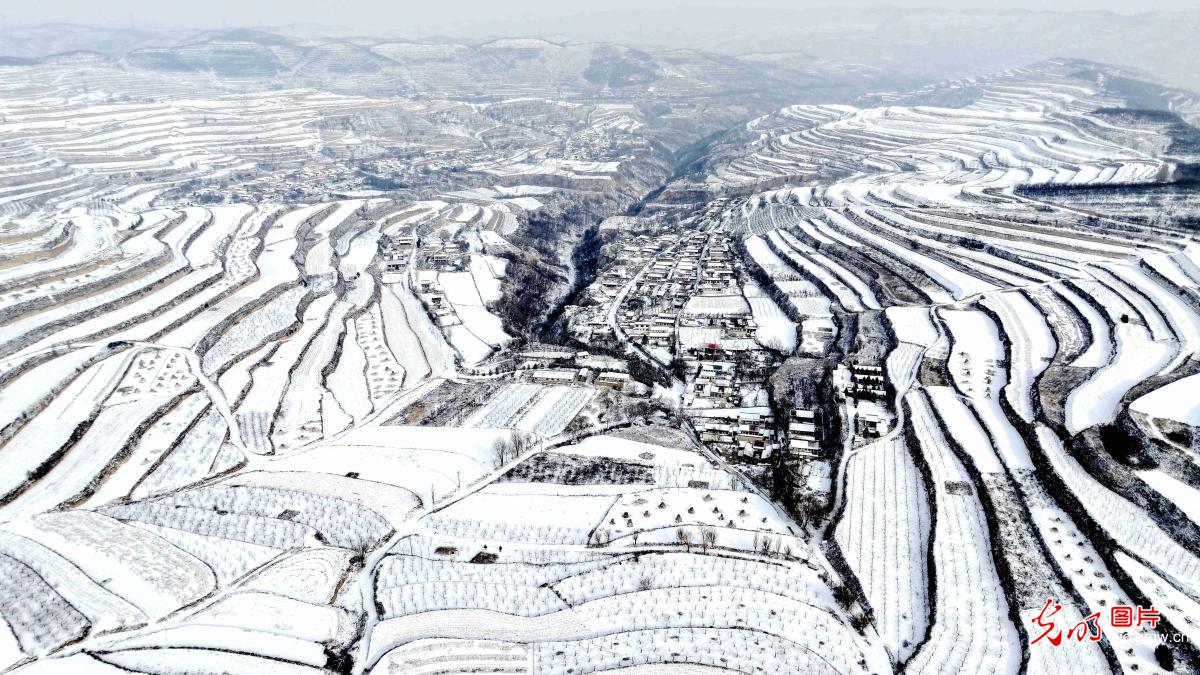Snow-covered terraced fields in NW China's Gansu Snow-covered terraced fields in NW China's Gansu