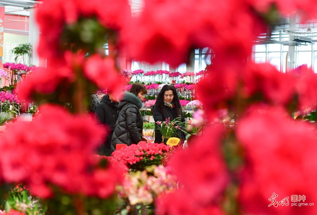 Spring Festival flower markets flourish across China