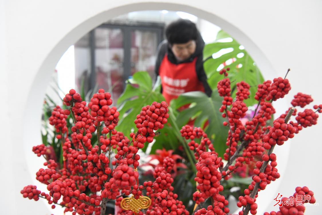 Spring Festival flower markets flourish across China