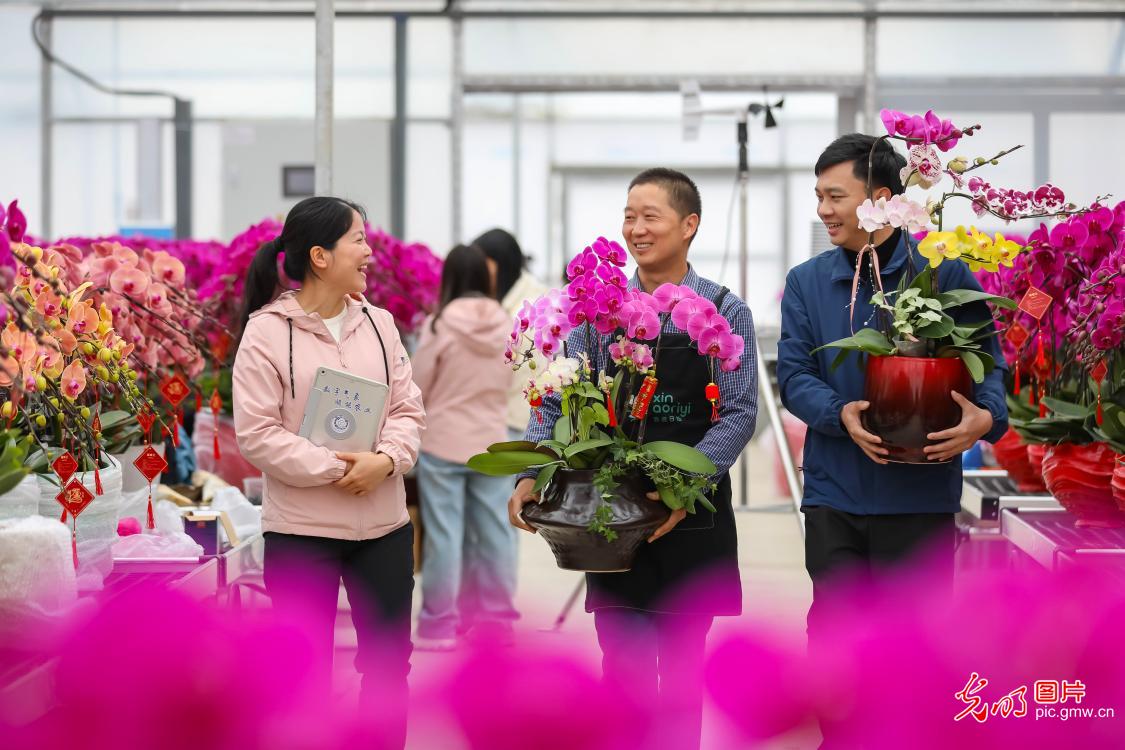 Spring Festival flower markets flourish across China