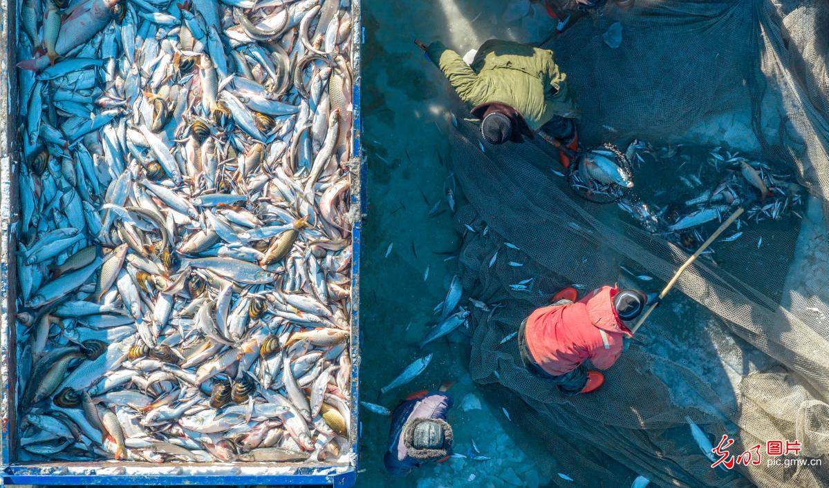 Winter fishing scenes showcase harvest and festive cheer across China