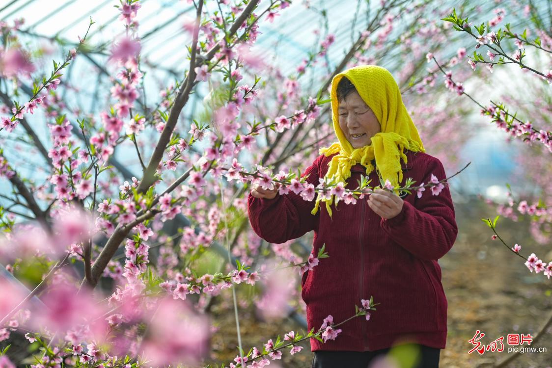 Beginning of Spring ushers in seasonal vitality across China