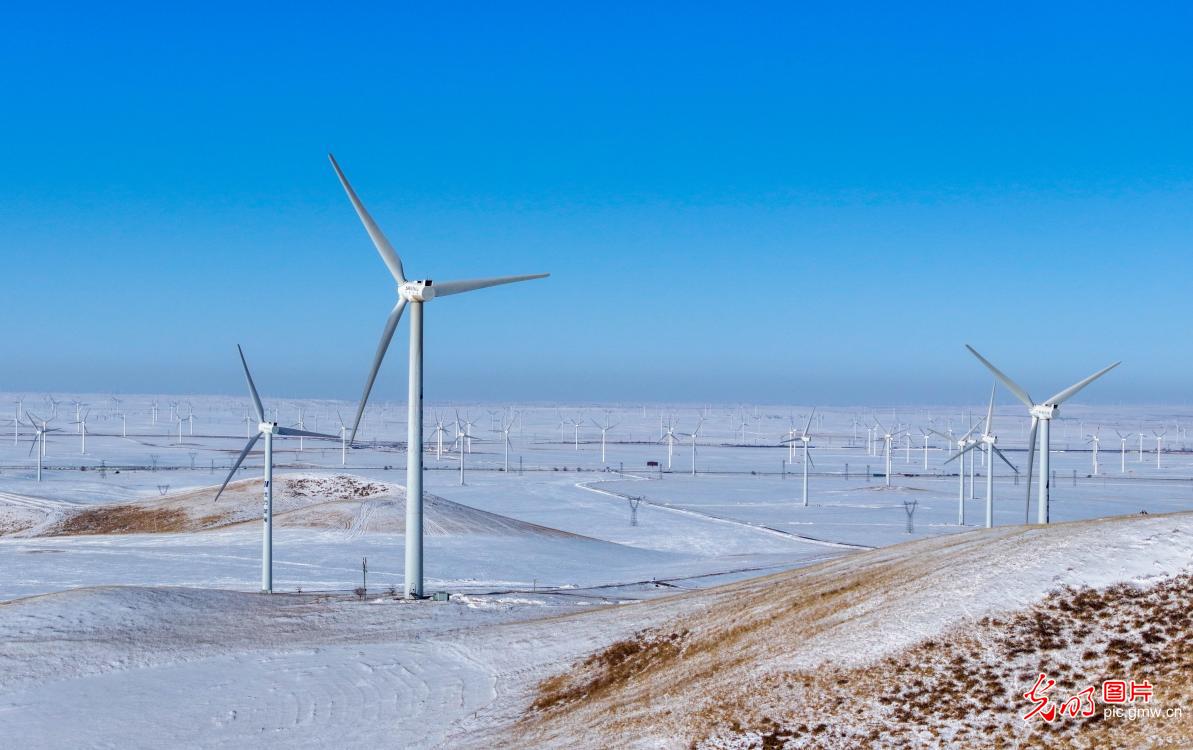 Snow-covered wind farm highlights clean energy growth in N China's Inner Mongolia