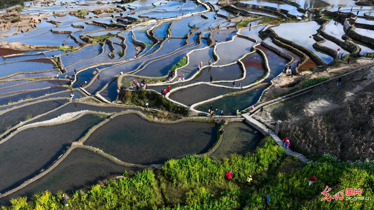 Hani Rice Terraces shimmer in water-filled season in SW China's Yunnan