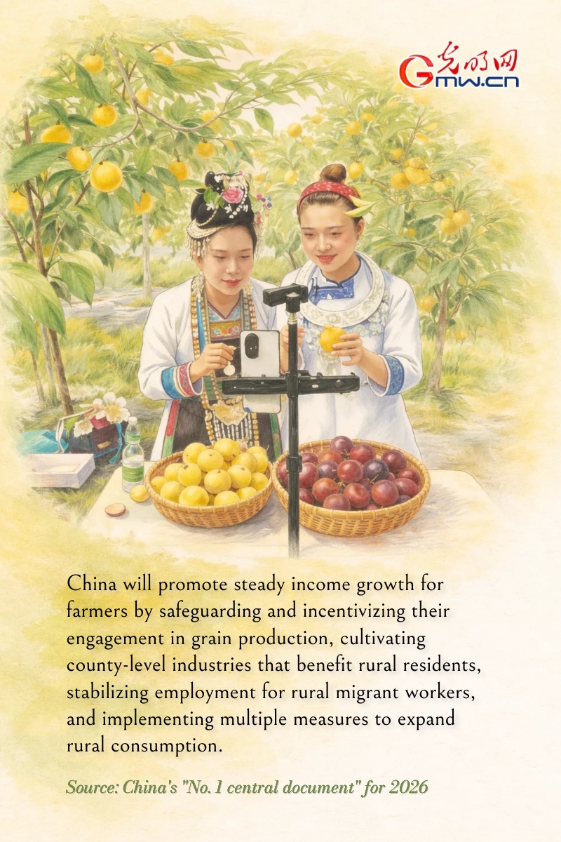 Posters: China outlines plans for agricultural modernization, rural revitalization