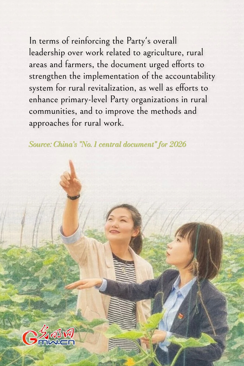 Posters: China outlines plans for agricultural modernization, rural revitalization