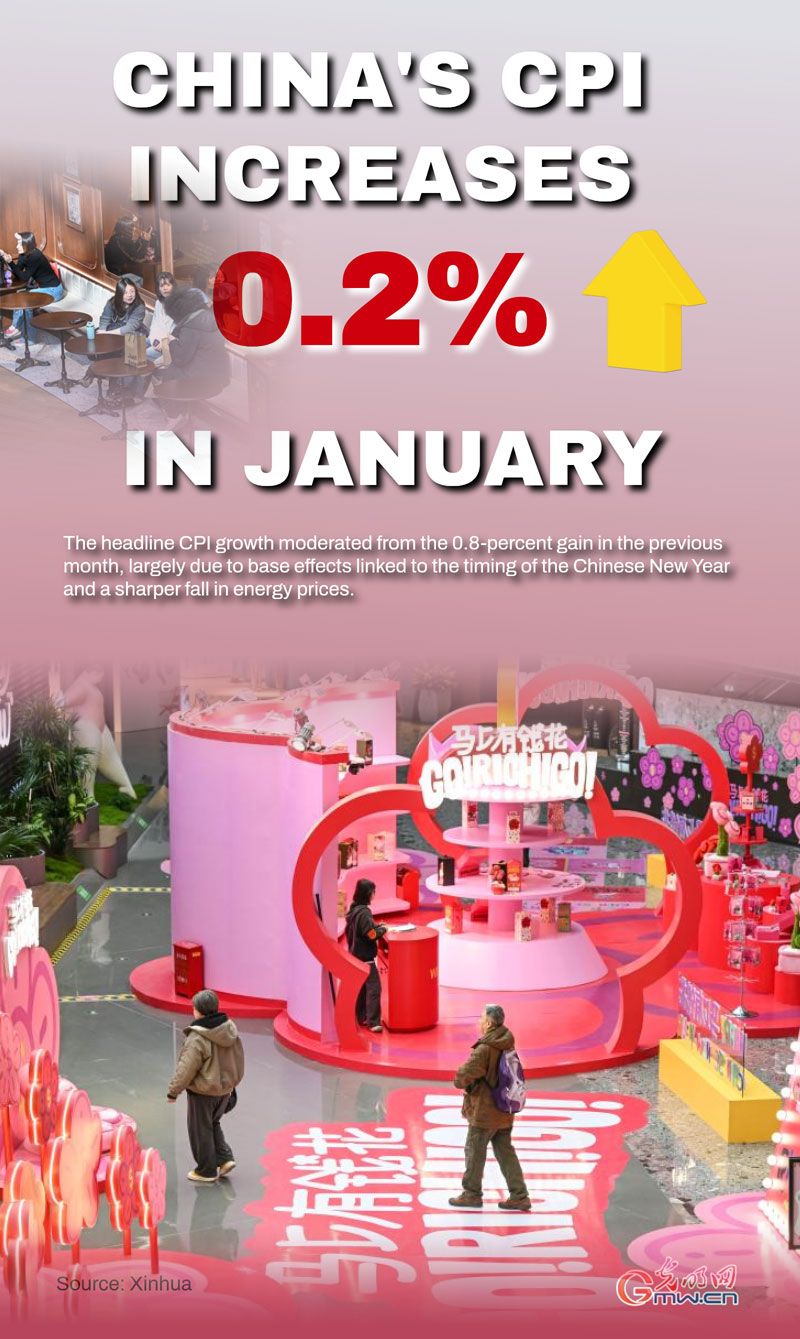 Poster: China's CPI increases 0.2% in January