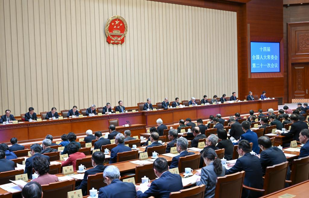 China's top legislature concludes standing committee session