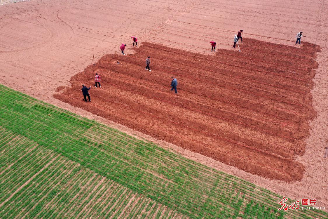 Farmers busy with spring farming across China