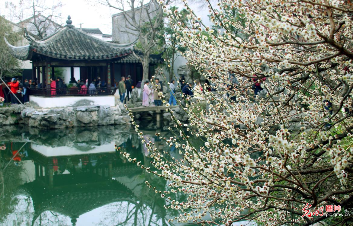 Spring in full bloom at Jiangsu's Yipu Garden