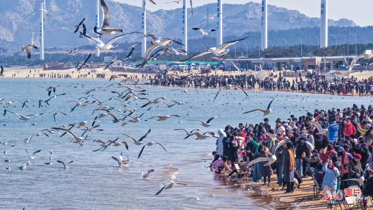 Cultural tourism market bustles in E China's Shandong