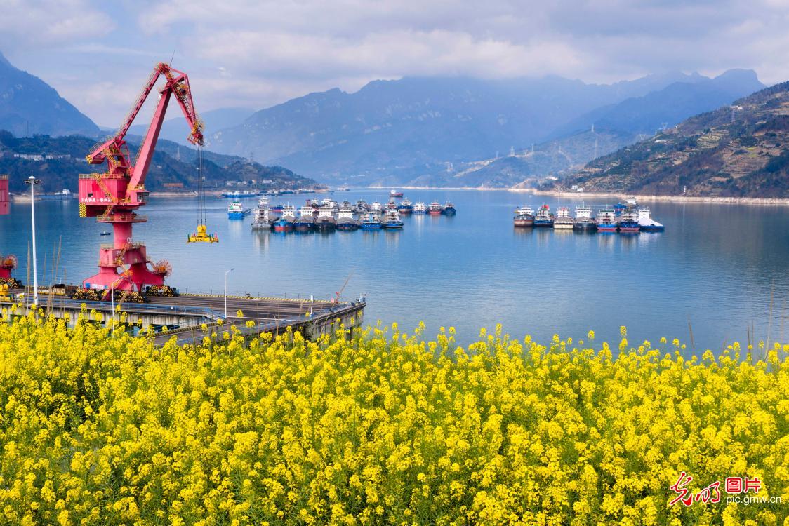 Ships gather at lock anchorage upstream of Three Gorges Dam in central China Ships gather at lock anchorage upstream of Three Gorges Dam in central China