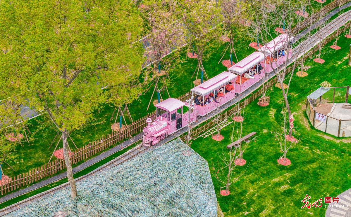 Cherry blossoms draw visitors to spring outing in E China's Jiangxi Cherry blossoms draw visitors to spring outing in E China's Jiangxi