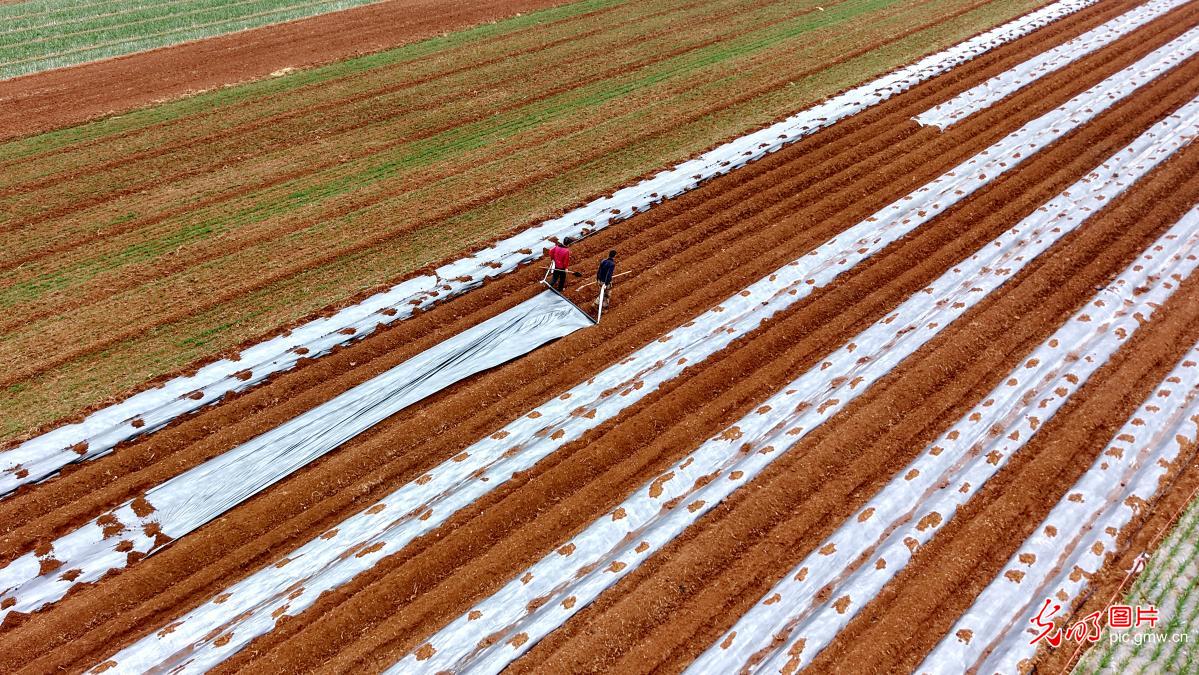 Farmers across China busy with spring planting and field management Farmers across China busy with spring planting and field management