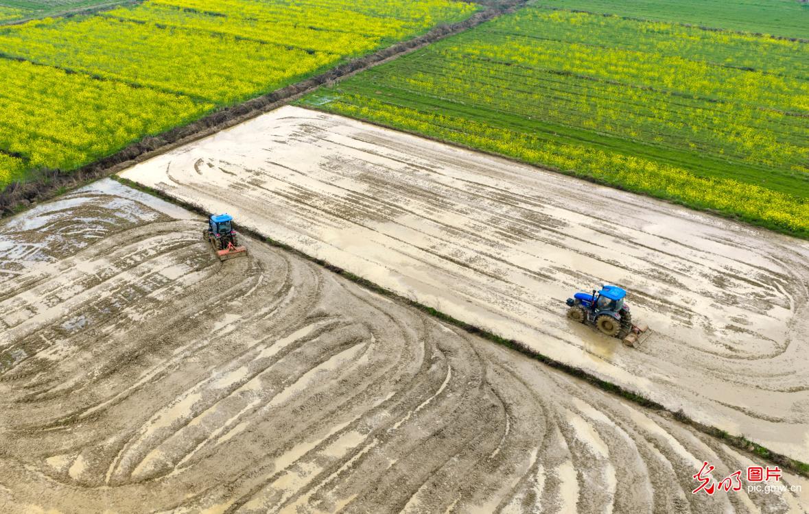 Farmers across China busy with spring planting and field management Farmers across China busy with spring planting and field management