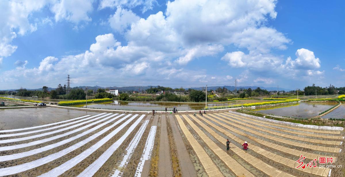 Farmers across China busy with spring planting and field management Farmers across China busy with spring planting and field management