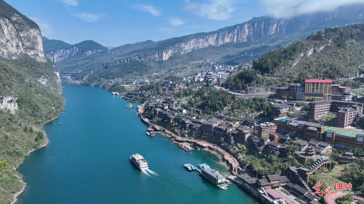 Spring blossoms frame scenic cruise near Gongtan Ancient Town