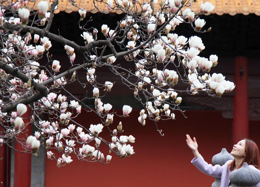 InPics | Spring greets China with blooming nature