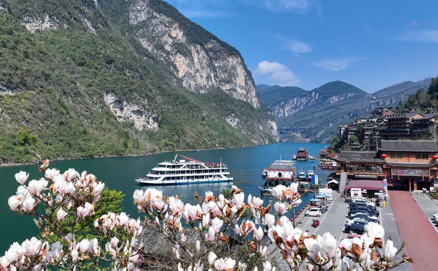 InPics | Spring greets China with blooming nature