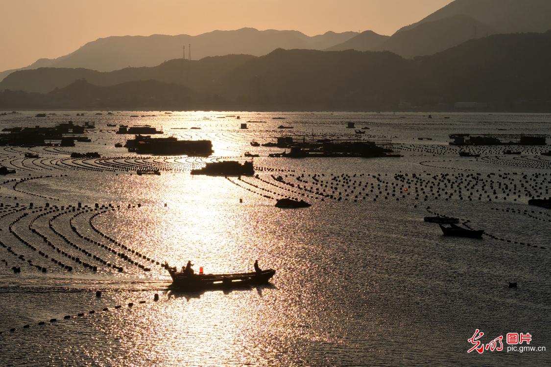 Spring fishing in SE China's Fujian Spring fishing in SE China's Fujian