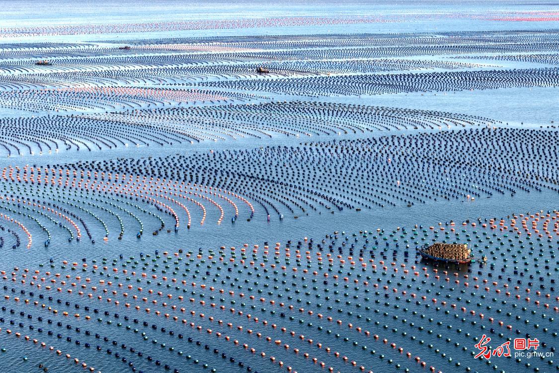 Spring fishing in SE China's Fujian Spring fishing in SE China's Fujian