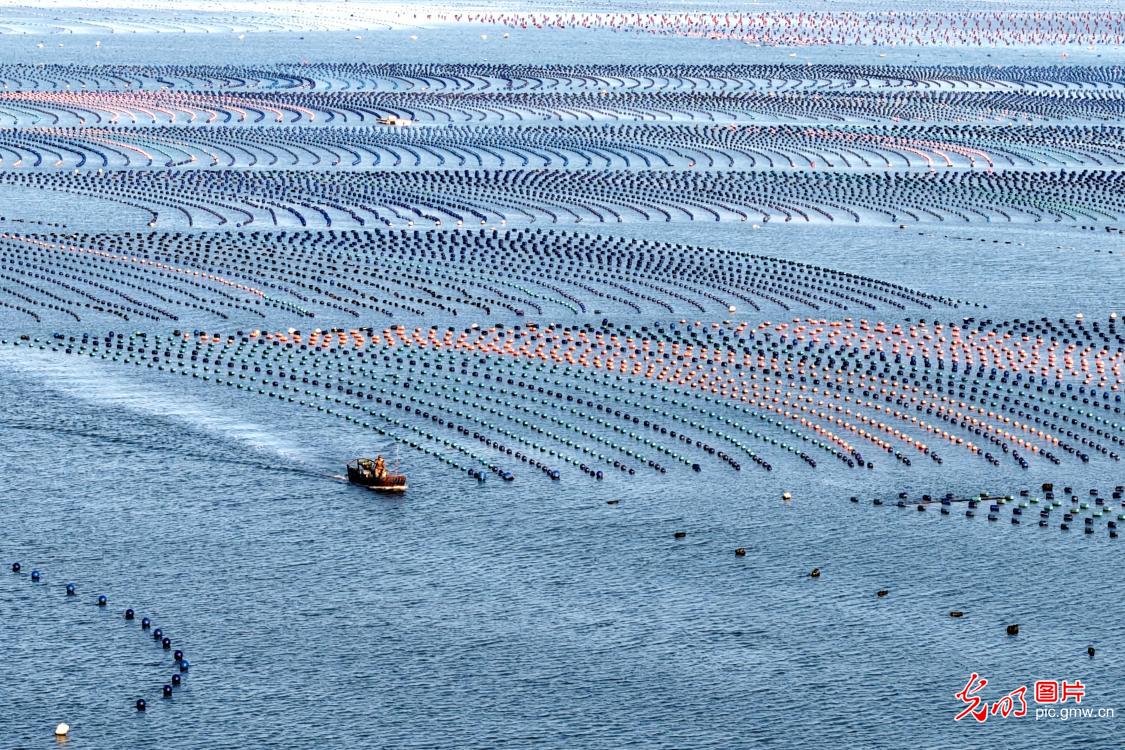 Spring fishing in SE China's Fujian Spring fishing in SE China's Fujian