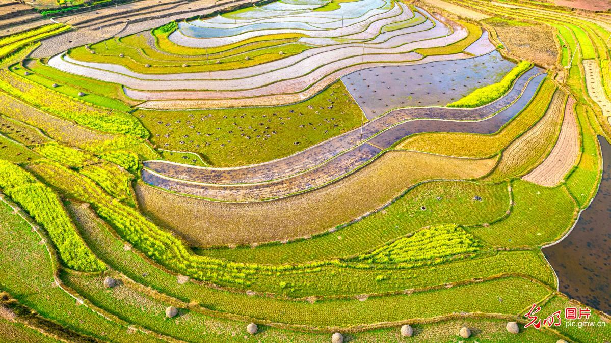 Terraced fields store water for spring farming in SW China's Guizhou Province Terraced fields store water for spring farming in SW China's Guizhou Province