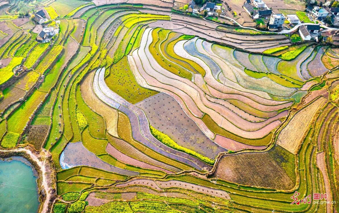 Terraced fields store water for spring farming in SW China's Guizhou Province Terraced fields store water for spring farming in SW China's Guizhou Province